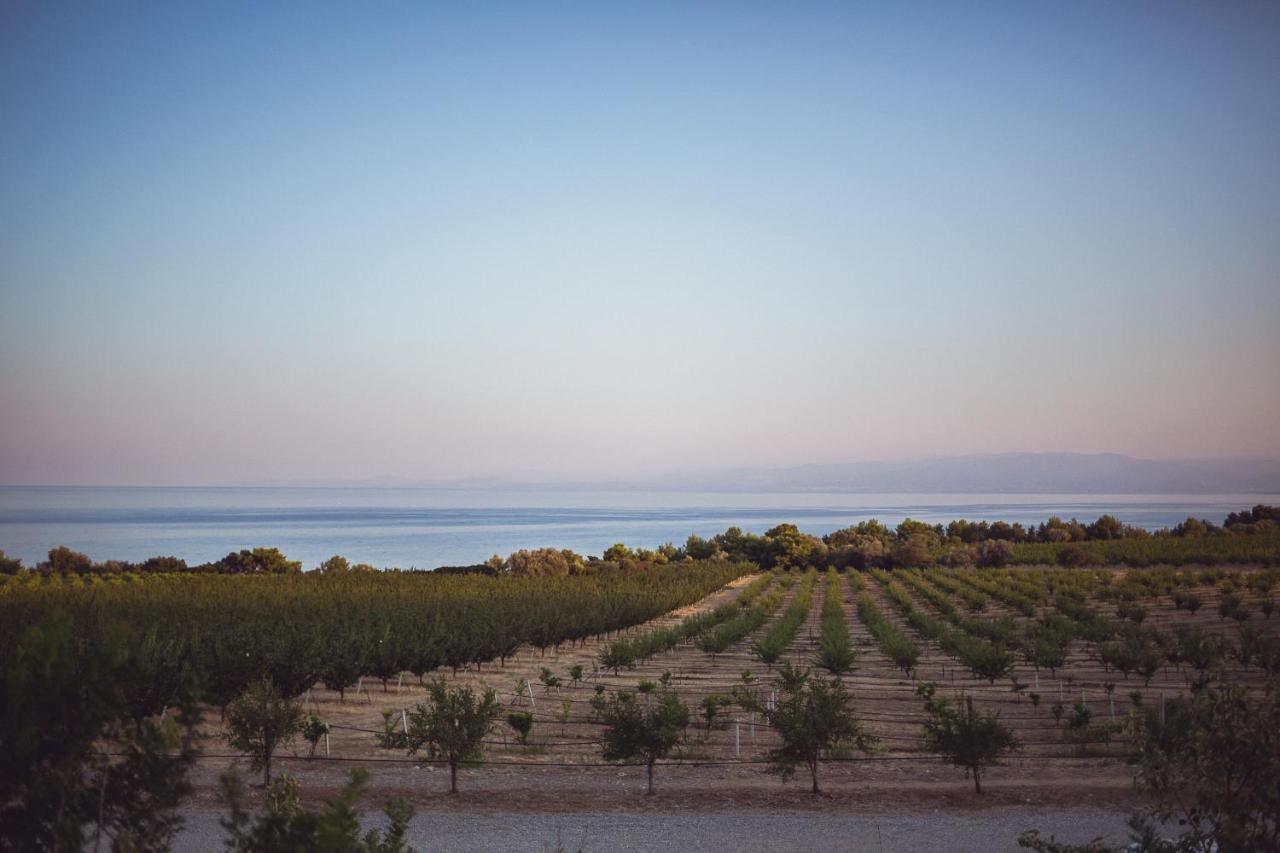 Masseria Agriturismo Torre Di Albidona 特雷比萨切 外观 照片