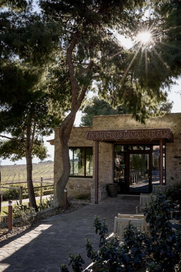Masseria Agriturismo Torre Di Albidona 特雷比萨切 外观 照片