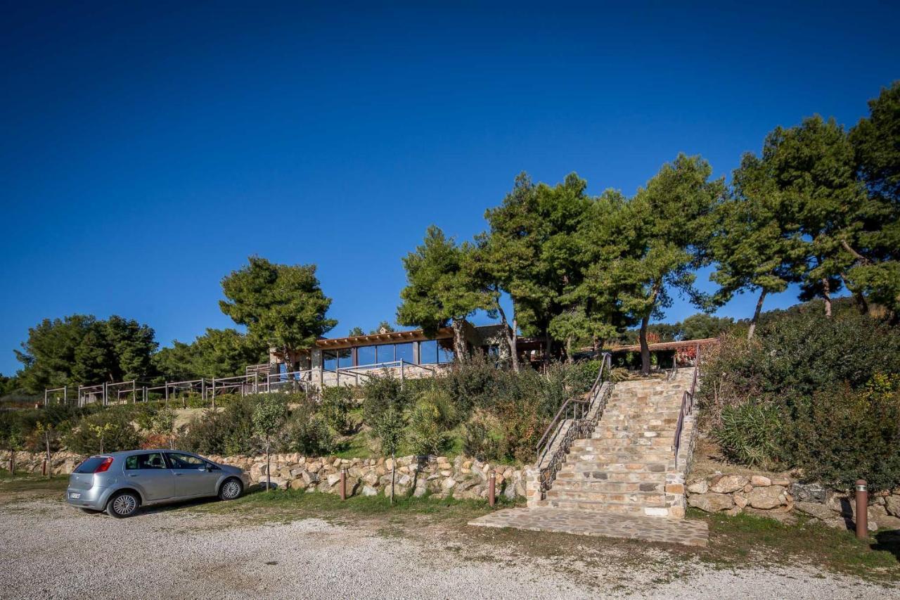 Masseria Agriturismo Torre Di Albidona 特雷比萨切 外观 照片
