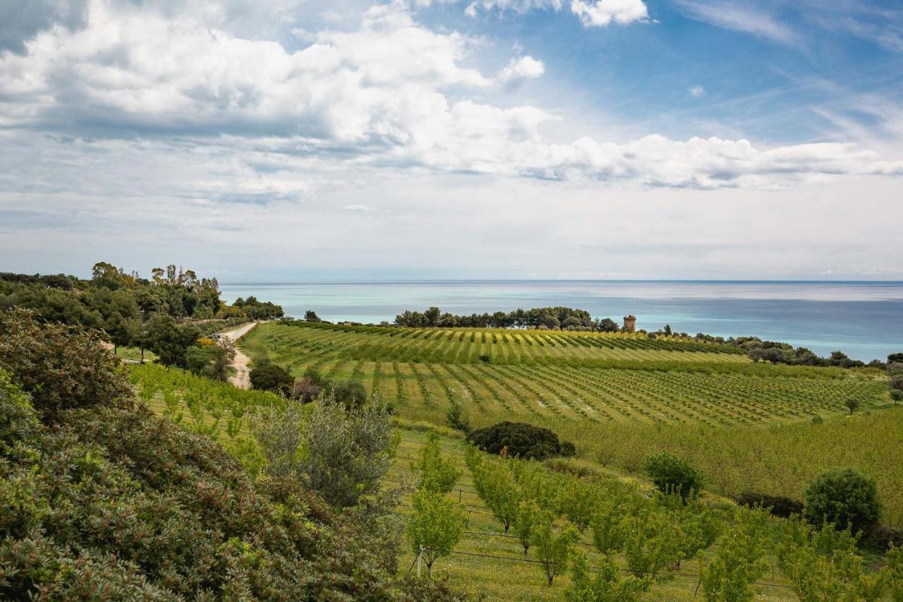 Masseria Agriturismo Torre Di Albidona 特雷比萨切 外观 照片