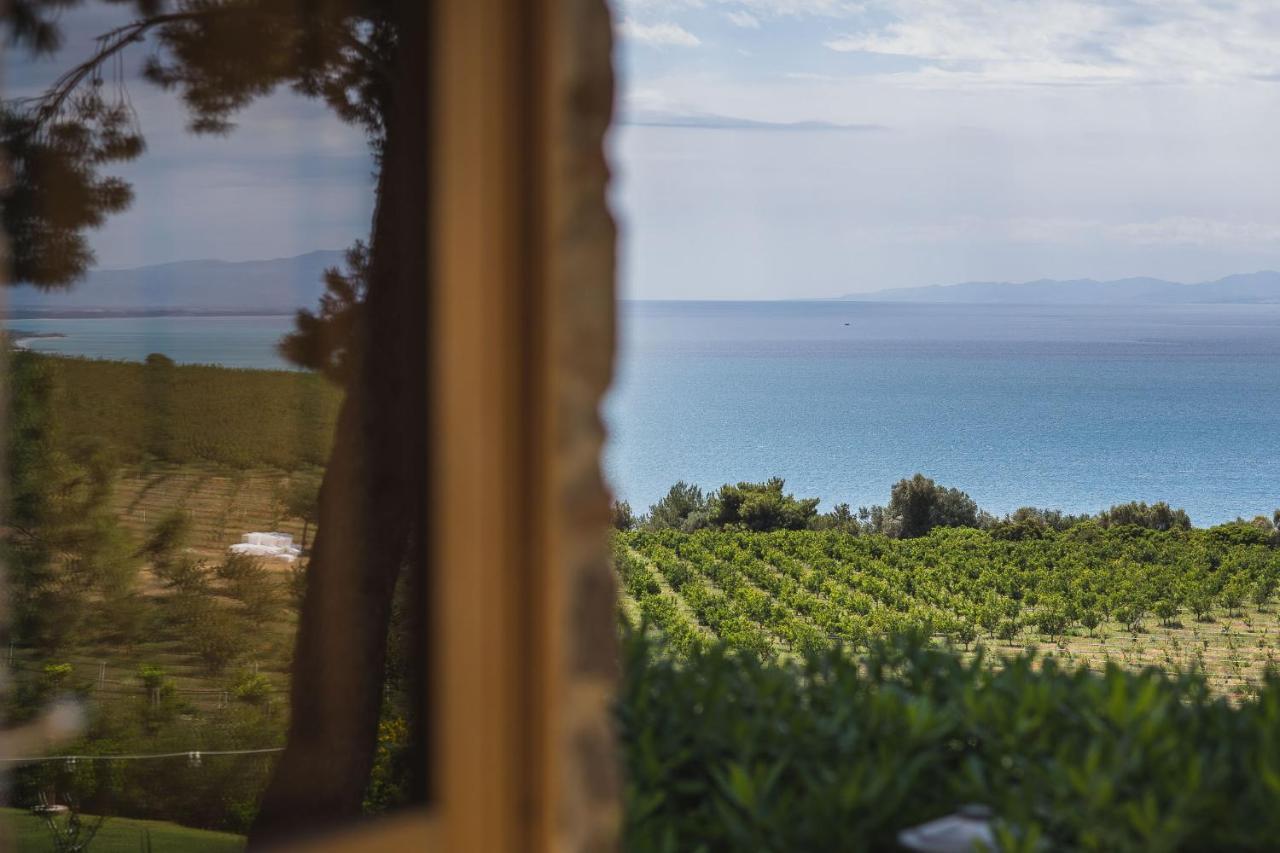 Masseria Agriturismo Torre Di Albidona 特雷比萨切 外观 照片