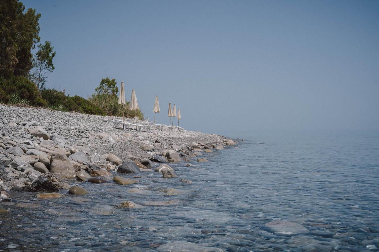 Masseria Agriturismo Torre Di Albidona 特雷比萨切 外观 照片