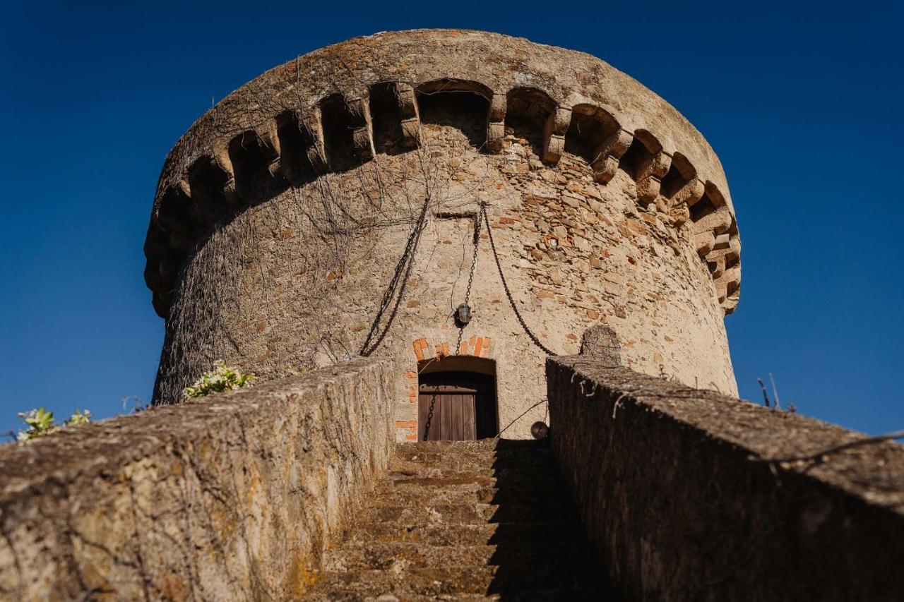 Masseria Agriturismo Torre Di Albidona 特雷比萨切 外观 照片